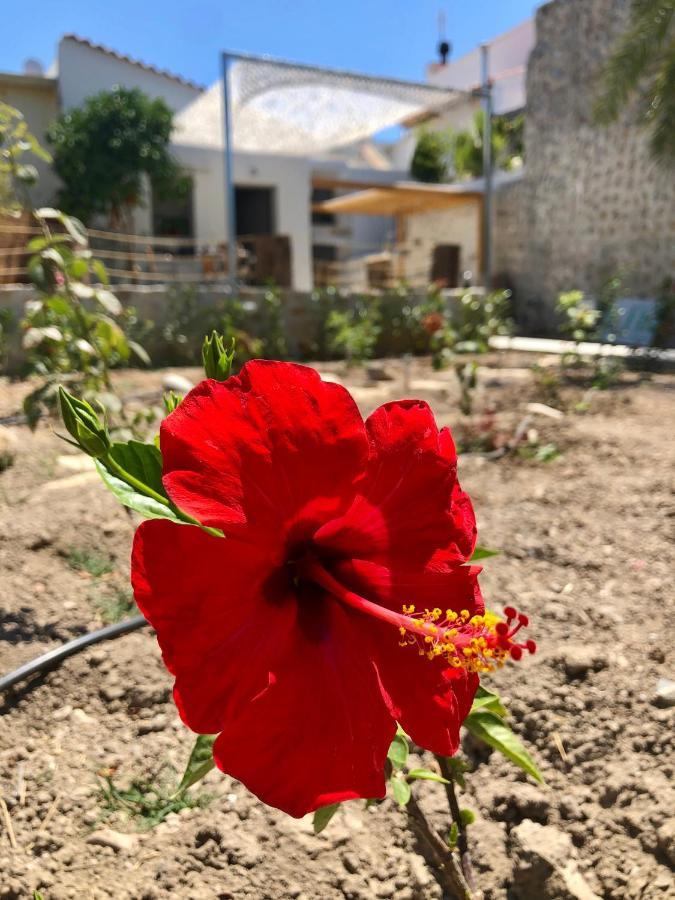 Naiades Residence Pigí Dış mekan fotoğraf